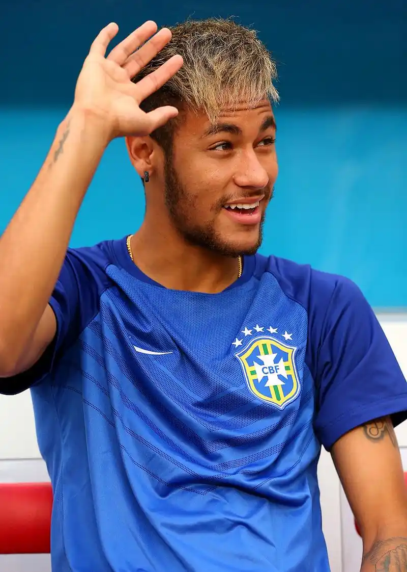 以一支在国 以一支在国